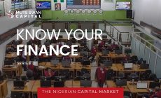 The Nigerian Capital Market