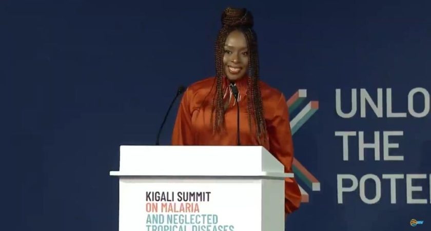 Chimamanda Calls for an end to Malaria and NTDs at Commonwealth Heads of Government Meeting In Kigali.